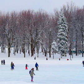 Ronnie Caplan: 'Skating on Beaver Lake', 2014 Color Photograph, Landscape. Artist Description:  The lake atop Mount Royal in Montreal freezes over in the wintertime, as families take over for the ducks of summer, skimming over the surface on blades. ...