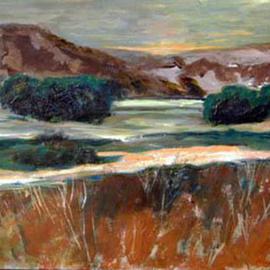 Roz Zinns: 'Last Light', 2003 Acrylic Painting, Landscape. Artist Description: California shoreline at dusk.  Wonderful browns and greens against the luminous water....