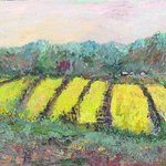 Mustard Among The Vines By Roz Zinns