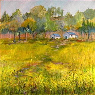 Roz Zinns: 'Wild Mustard', 2007 Acrylic Painting, Landscape.  Mustard in bloom in the Spring. ...