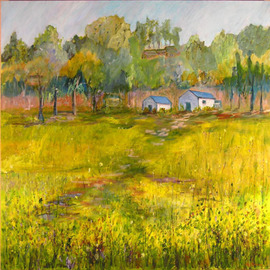 Roz Zinns: 'Wild Mustard', 2007 Acrylic Painting, Landscape. Artist Description:  Mustard in bloom in the Spring. ...