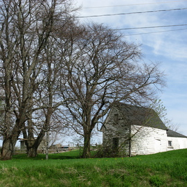 Country Barn, Ruth Zachary