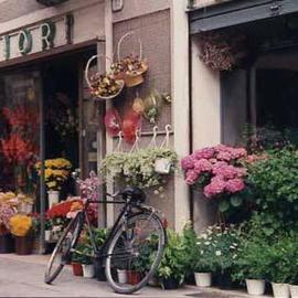 Ruth Zachary: 'Fiori', 1997 Color Photograph, Floral. Artist Description: Fiori. . . that' s Italian for flowers.  Romantic European flower shop with bicycle.  Charming old- world street scene, Padua, Italy. Limited edition, signed and numbered. 14 x 11 image in an acid free 20 x 16 mat. Smaller sizes, too. Please sign my guest book.  Id love to hear ...