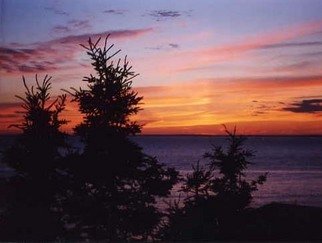 Ruth Zachary: 'Fire Sky', 1998 Color Photograph, Seascape.  Dramatic, rich orange and gold sunset, striking black pine tree silhouette.  Our over the ocean from Sunset Hill, Monhegan Island, Maine.  11 x 14 limited edition print in 16 x 20 acid free mat.  Signed, numbered and titled.  Smaller size available.  Enjoy! ...