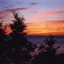 Ruth Zachary: 'Fire Sky', 1998 Color Photograph, Seascape. Artist Description:  Dramatic, rich orange and gold sunset, striking black pine tree silhouette.  Our over the ocean from Sunset Hill, Monhegan Island, Maine.  11 x 14 limited edition print in 16 x 20 acid free mat.  Signed, numbered and titled.  Smaller size available.  Enjoy! ...