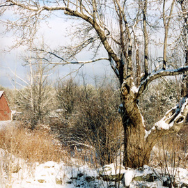 Ruth Zachary: 'Glorias View', 2012 Color Photograph, Seasons. Artist Description: Winter snow and sky scene, just across from my dear friend Gloria' s house in rural Limerick, Maine.  Larger size available ( 11 x 14, $98) . ...