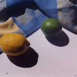 Ruth Zachary: 'Lemon Lime', 2006 Color Photograph, Still Life. Artist Description: Kitchen still life.  Yellow lemon, green lime cast shadows in front of blue and white checked dish towel, all on white counter.  Fun shapes.  Great contrast. Full of charm. Perfect from my kitchen to yours. Limited edition print: 11 x 14 image signed, titled and numbered in pencil ...