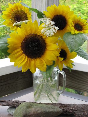 Ruth Zachary: 'Susans Gift Sunflowers', 2012 Color Photograph, Floral. 