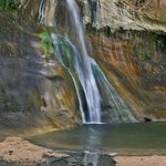 Calf Creek Falls Reflection By Ralph Andrea