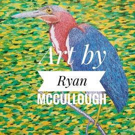 green heron By Mccullough Ryan