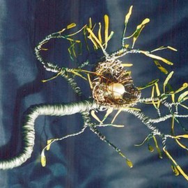 Sal Villano: 'Bird Nest    No1  Wire Sculpture ', 2011 Mixed Media Sculpture, nature. Artist Description:  Bird Nest No. 1 - Wire Sculpture 6