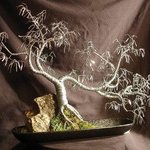 Cascade Number  3,  Wire Tree Sculpture  By Sal Villano