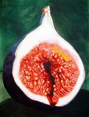 Sarah Longlands: 'Fig 1', 2006 Watercolor, Ethereal. Artist Description:  Going Underground...