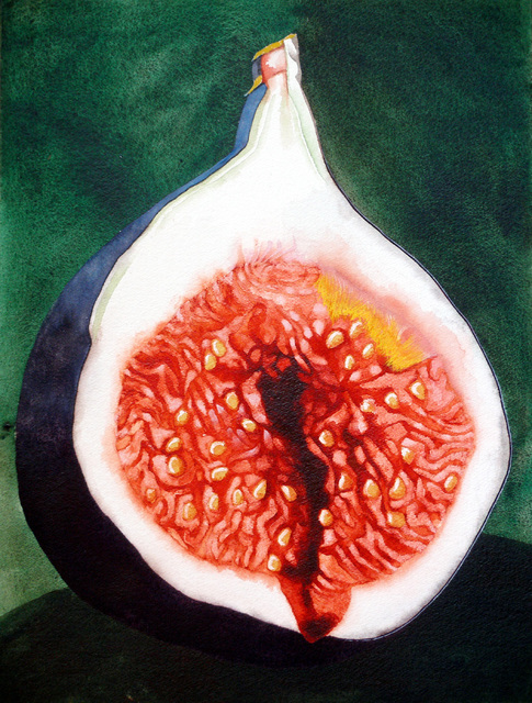 Sarah Longlands  'Fig 1', created in 2006, Original Painting Acrylic.