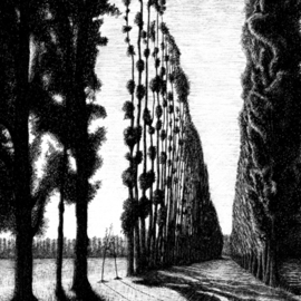 Sarah Longlands: 'Isola dei Pioppi', 2009 Ink Drawing, Ethereal. Artist Description: One of 13 ink drawings which were used in the sonnet sequence, The Uncompliant Stranger published by David Wheldon in 2009.Also available as a giclee print. ...