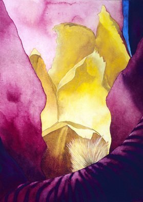 Sarah Longlands: 'Madder Pass 1', 2006 Watercolor, Ethereal. Artist Description: The seemingly nearly black iris bursts into life in sunshine. ...