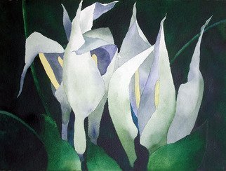 Sarah Longlands: 'Seraphs 2', 2007 Watercolor, Ethereal. Arums spring to life. ...