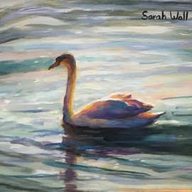 a little swan By Sarah Wall
