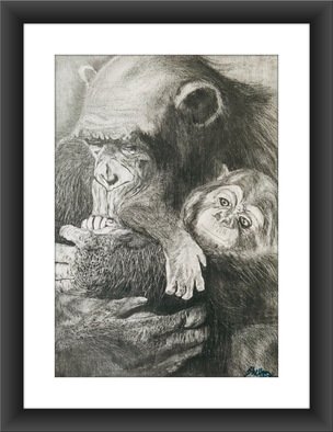 Shelton Barnes: 'apes', 2020 Graphite Drawing, Animals. Mother Ape with her baby, done on A3 size paper using graphite.  Sold without frame. ...