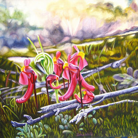 Delma White: 'Alien Landscape', 2010 Oil Painting, Botanical. Artist Description:  Redcoats( Utricularia menziesii) and Snails( Pterostylis dilatata) grow on granite rocks Southof the Nullabor Plain in Australia. They are only about 3cm high and carnivorous....