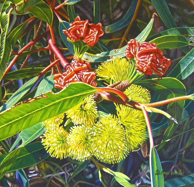 Delma White  'Illyarrie Blossom', created in 2010, Original Painting Oil.