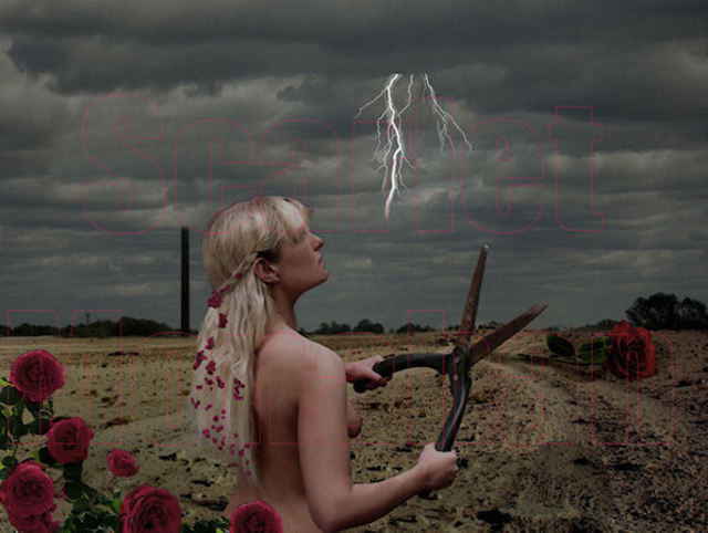 Monahan Scarlet  'The Rose Gardener', created in 2012, Original Photography Other.