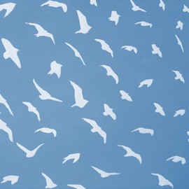 Birds By Scott Mackenzie