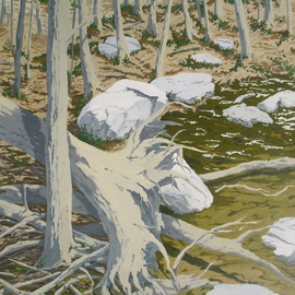 S. Josephine Weaver: 'Uprooted', 1991 Oil Painting, Landscape. Artist Description:  rocks. muddy, water, tree    ...