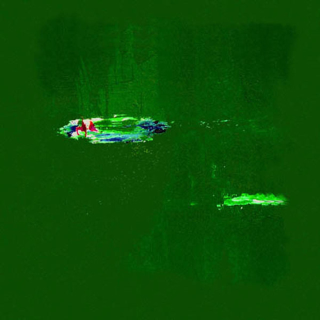 Klaus Lange  'Greenfish', created in 2006, Original Photography Cibachrome.