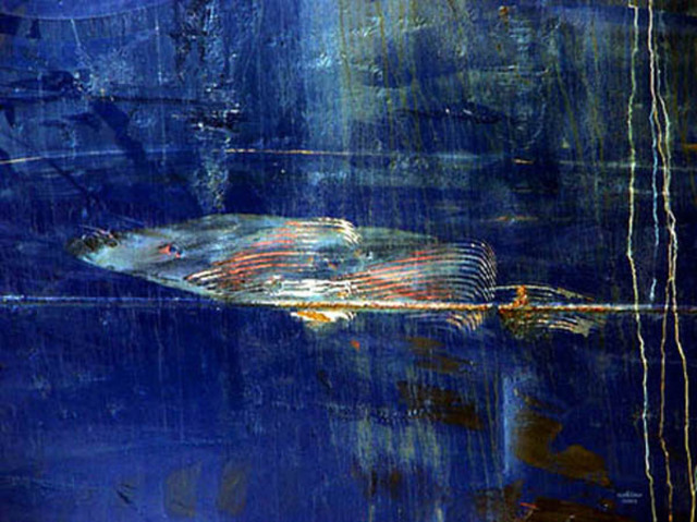 Klaus Lange  'Jonahfish', created in 2006, Original Photography Cibachrome.