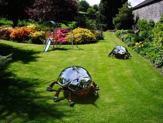 Sebastian Novaky: 'bioregulation 2', 2014 Steel Sculpture, Animals. Outsize Bug Beetle Garden sculpture.Large Insect Stainless Steel sculpture for sale for Outside Outdoors in the Yard or Garden by one of the Acknowledged Experts Sebastian Novaky. ...