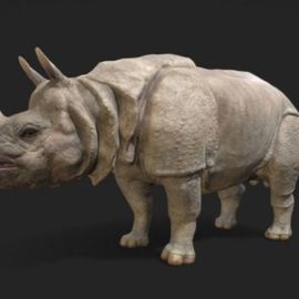 Sebastian Novaky: 'indian rhino', 2018 Bronze Sculpture, Animals. Artist Description: Bronze Indian Rhino statue, Stranding Rhino sculpture, a Portrait sculpture in bronze of an Indian Rhinoceros, proud and powerful. This was created by the Talented World Class Sculptor Sebastian Novaky, and is for sale for Interior or Exterior display. ...