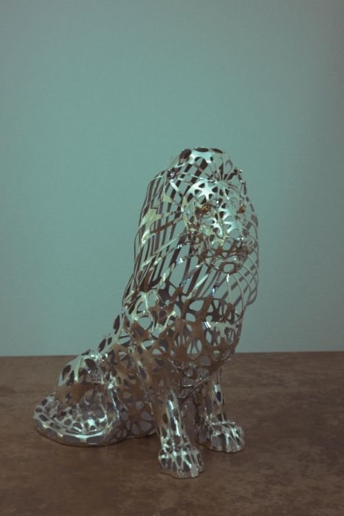 Sebastian Novaky: 'the king', 2015 Steel Sculpture, Abstract. Contemporary Life Size sculpture, by Sebastian Novasky.Modern Abstract Stainless Steel Lion statue for sale for Indoors or Outside in the Yard or Garden by the Animal Loving Sculptor Sebastian Novasky. ...