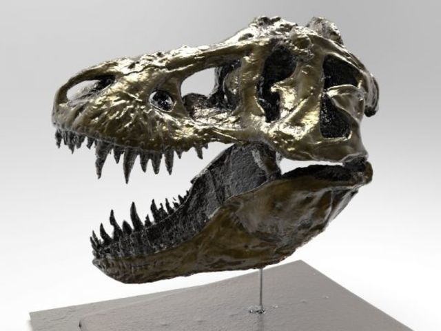 Sebastian Novaky  'Tyrannosaurus Skull', created in 2020, Original Other.