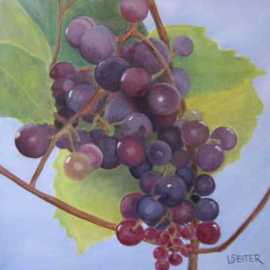 Grapes II By Lynette Seiter