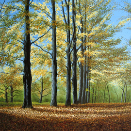 Sergio Zampieri: 'Autumn light', 2010 Oil Painting, Landscape. Artist Description:    Original oil painting on canvas tree leaves sky clouds autumn  ...