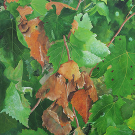 Steven Fleit: 'bordeaux vineyard 6', 2017 Acrylic Painting, Botanical. Artist Description: Bordeaux, France, vineyard, Fall, grape leaves, wine, Fleit...