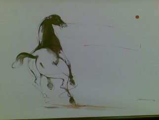 Shakeel Siddiqui: 'untitled', 2010 Mixed Media, Figurative.      i love camel so i draw with force     ...
