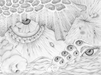 Sharon Ebert: 'Sea Deep in Wisdom', 2012 Pencil Drawing, Surrealism.    Sharon Ebert, sharonscapes, surreal, surrealism, graphite, pencil, eyes, pearls, seashells, visionary, Fiji, South Pacific,  ...