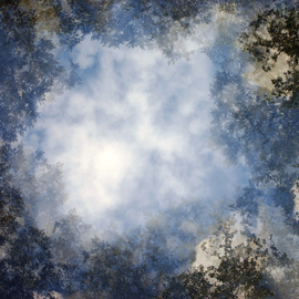 Shelley Catlin: '8 Trees', 2014 Digital Photograph, Abstract Landscape. Artist Description:    Trees, clouds, multiple exposure, blue sky ...