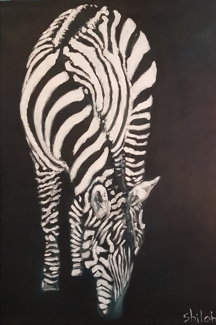 Dan Shiloh  'Zebra Black Background', created in 2023, Original Painting Tempera.