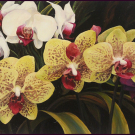 Sandra Bryant: 'orchids', 2022 Oil Painting, Floral. Artist Description: Beautiful orchids were an inspiration for this painting. ...