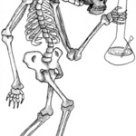stoner skeleton By Sarah Klein