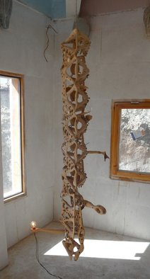 Stefan Van Der Ende: 'Mind Set Sub Light', 2012 Wood Sculpture, Abstract.                                                           elmwood copper led shell stone lamp                                                                                                    ...
