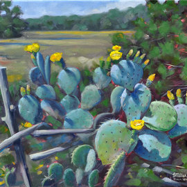 Steve Miller: 'Cactus Spring', 2010 Oil Painting, Western. Artist Description:  Western cactus hill country texas prickly pear blossom ranch landscape ...