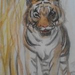 the tiger saw me By Sofia-Maria Klein