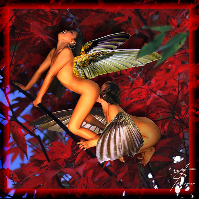 Somtam T.  'Fairies In The Bush', created in 1995, Original Digital Painting.