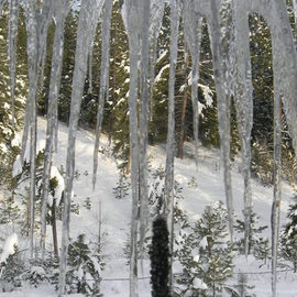 Debbi Chan: 'Buddha ice', 2011 Color Photograph, Trees. Artist Description:  photos from idaho.               ...