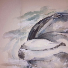 Debbi Chan Artwork For dolphins and whales album , 2015 Artistic Book, Marine