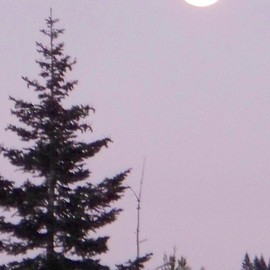 Debbi Chan: 'a FULL moon for sure', 2010 Color Photograph, Astronomy. Artist Description:   photos from Idaho. ...